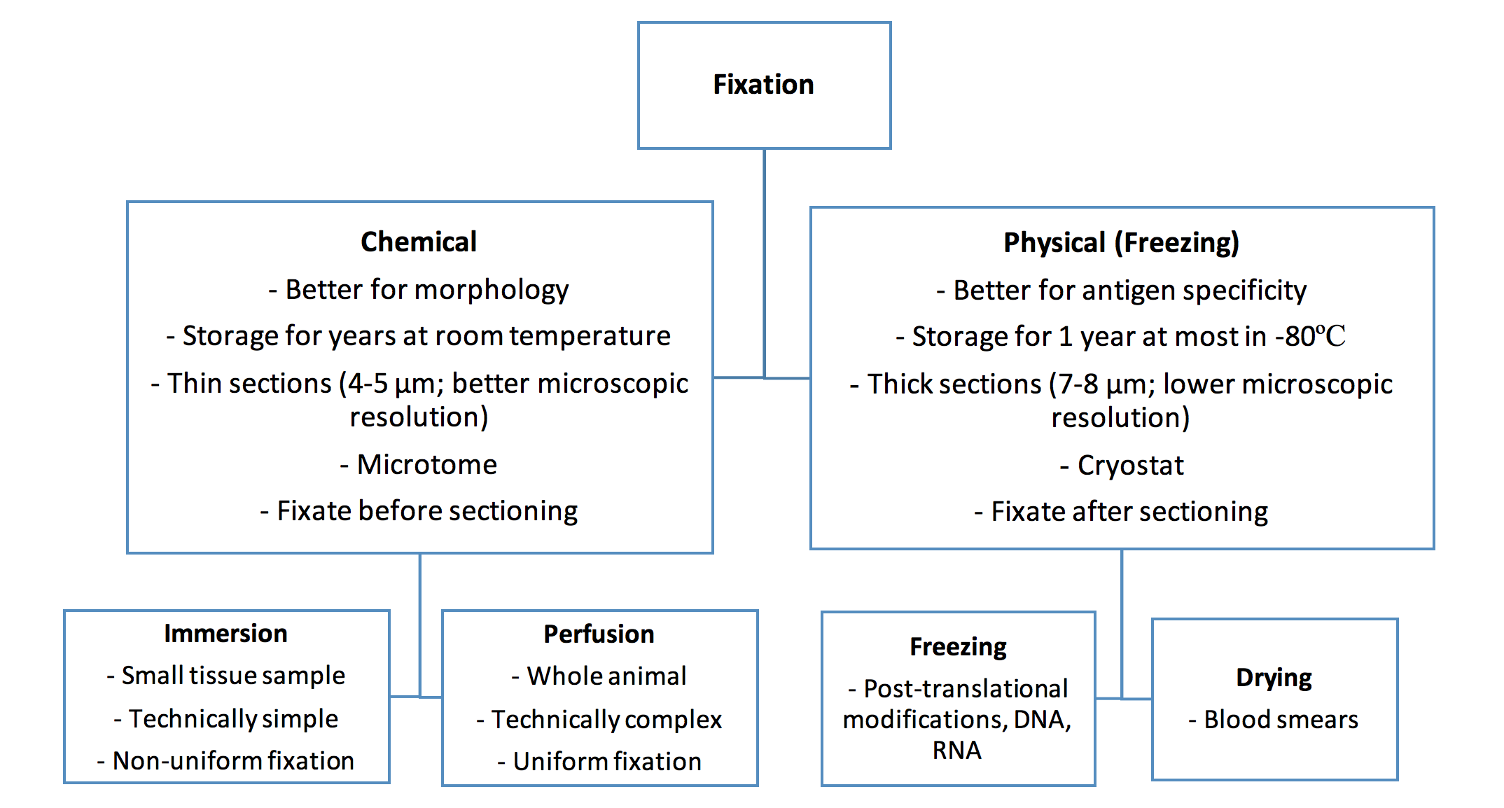 immunohistochemistry-ihc-principles-factors-to-consider-for